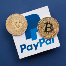 PayPal